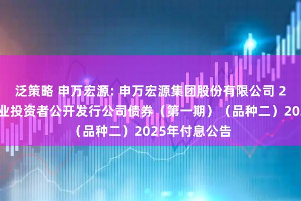 泛策略 申万宏源: 申万宏源集团股份有限公司 2023年面向专业投资者公开发行公司债券（第一期）（品种二）2025年付息公告